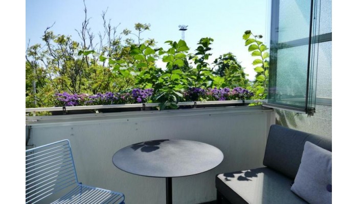 Hotel Aalto Seaside Suite poza 6