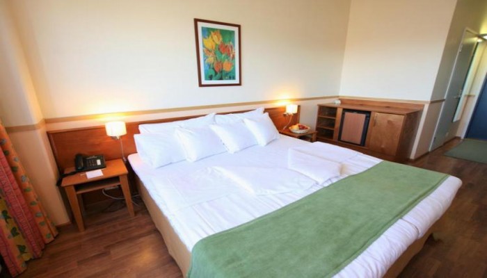 Hotel Airport Bonus Inn poza 19