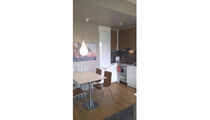 Best Western Apartments Levin Klubi poza 5