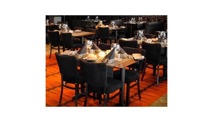 Hotel Levi Panorama poza 10