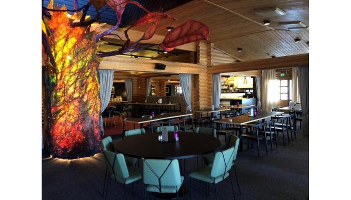 Levi Hotel Spa poza 10